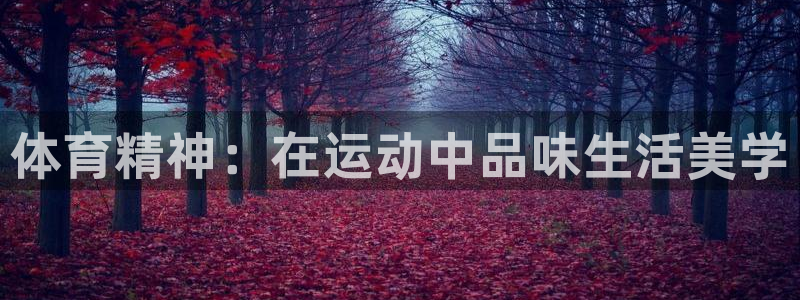 关键词：体育精神：在运动中品味生活美学