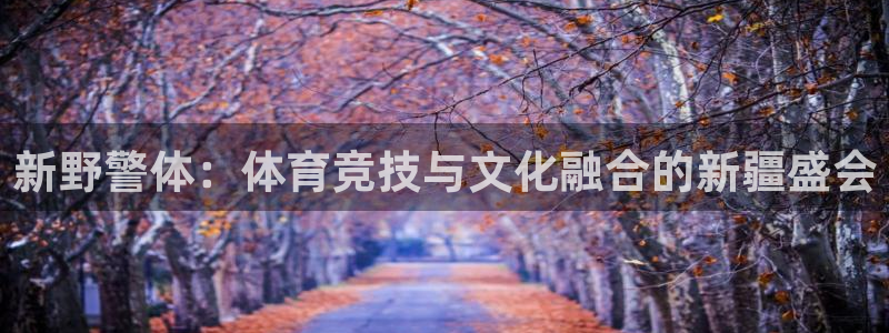 关键词：新野警体：体育竞技与文化融合的新疆盛会