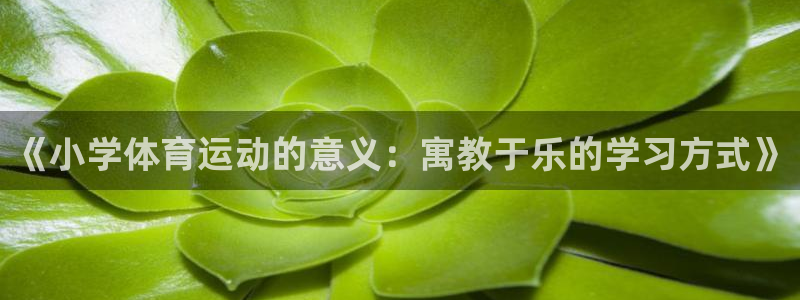 关键词：《小学体育运动的意义：寓教于乐的学习方式》