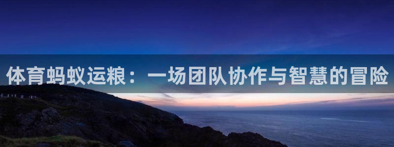 关键词