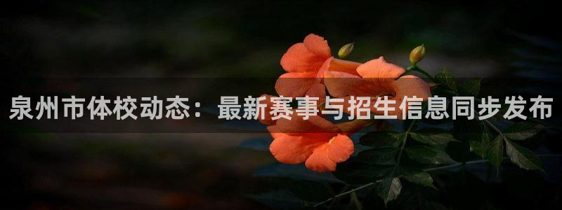球深体育比分