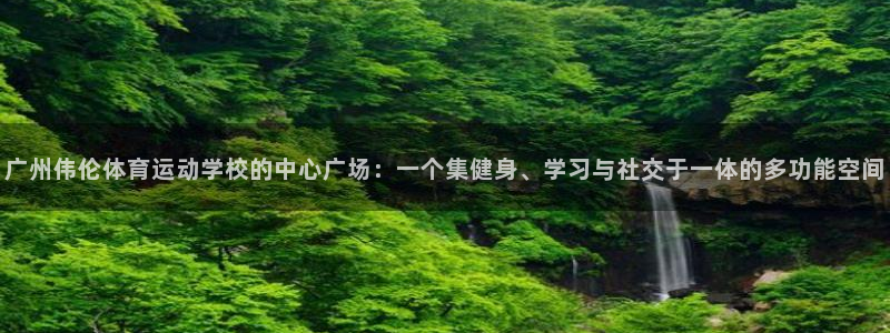球深体育比分