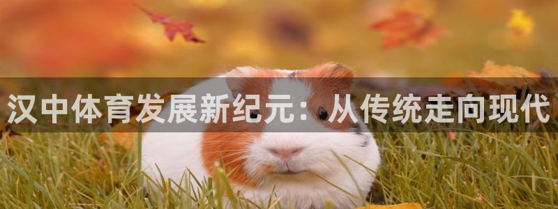 球深体育比分：汉中体育发展新纪元：从传统走向现代