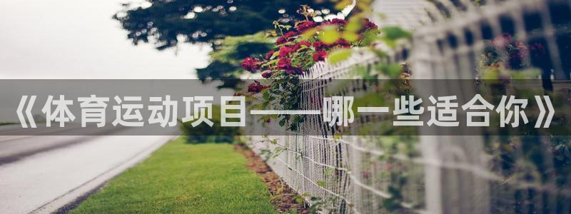 球深体育比分