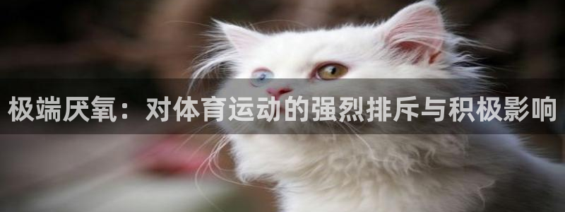 球深体育比分：极端厌氧：对体育运动的强烈排斥与积极影响