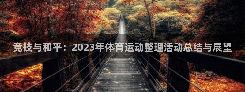 关键词：竞技与和平：2023年体育运动整理活动总结与展望